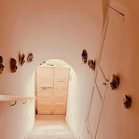 Casa David
