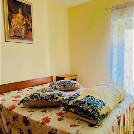 Casa David
